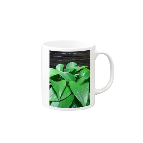 green Mug
