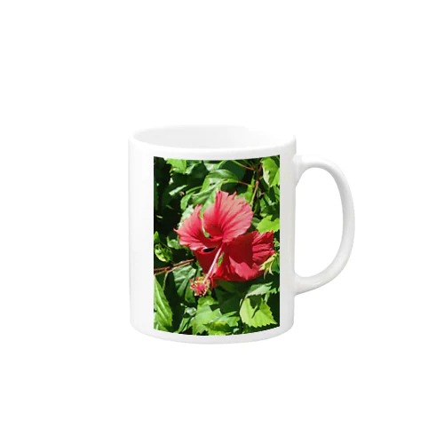 ハイビスカス🌺 Mug