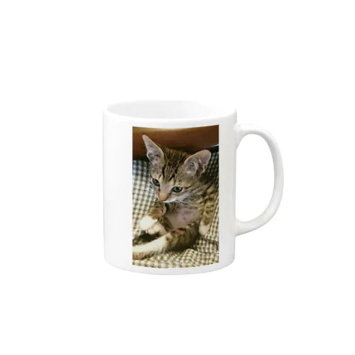 子猫シグレ Mug