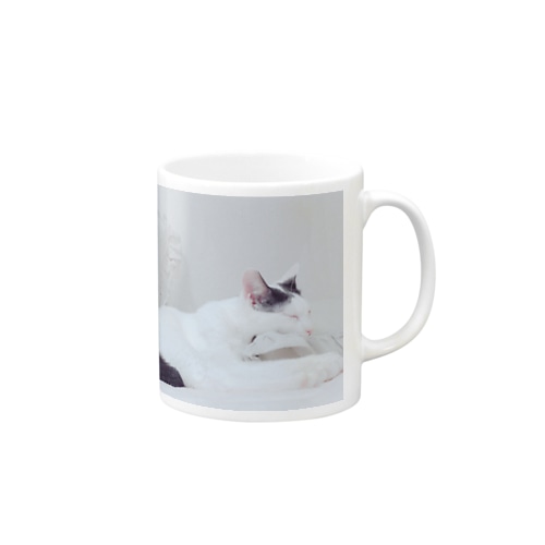 sleepy cat Mug
