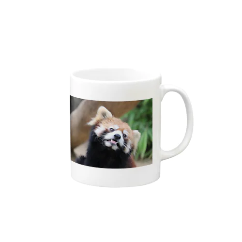 レッサーパンダ Mug