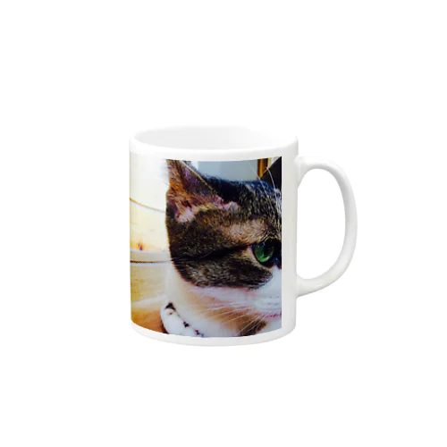 猫 Mug