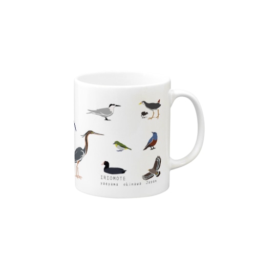 しまのなかま鳥類16 Mug