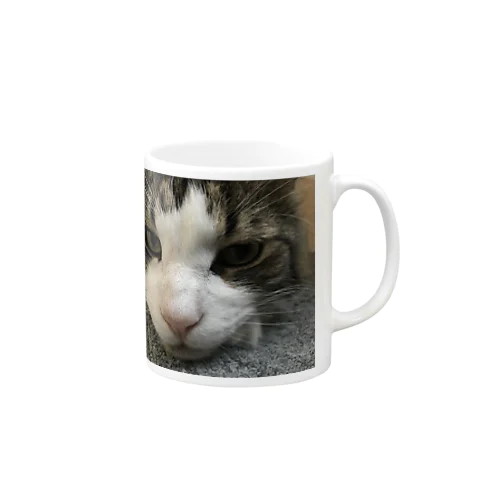 hrs-N1 Mug