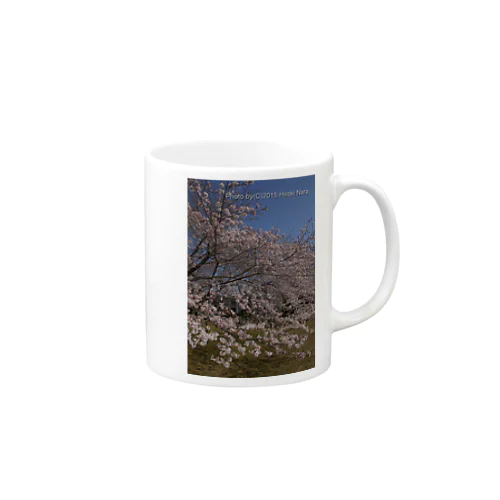 満開の桜 Mug