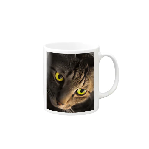 イケメン猫　ケン Mug