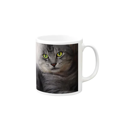 イケメン猫　銀 Mug