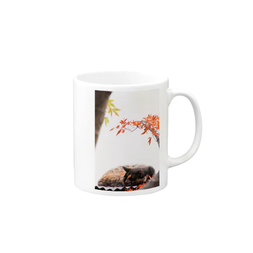 サビ猫と紅葉 Mug