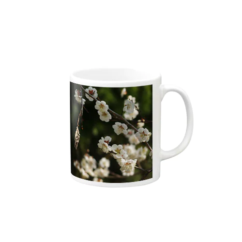 梅　ウメ　Japanese　apricot DATA_P_096 Mug