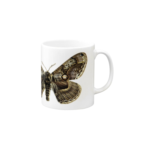 イボタガ　全体　淡色専用　 Mug