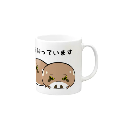 アメフクラガエル Mug