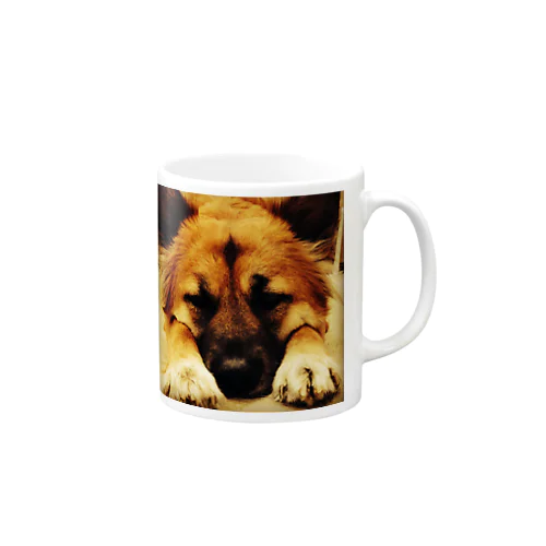 mero Mug