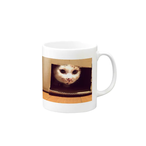 The calico cat  Mug