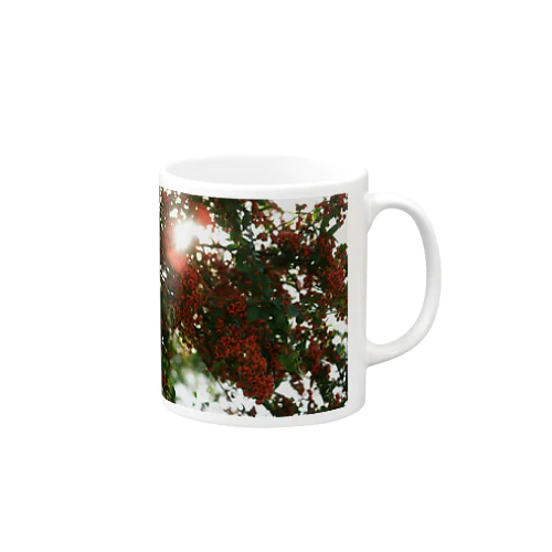 ピラカンサス　DATA_P_136 Mug