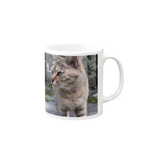 ねこの視線の先 Mug