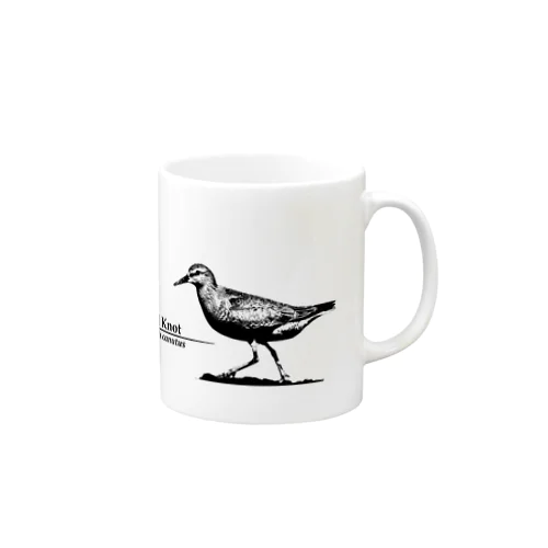 コオバシギ（幼鳥） Mug