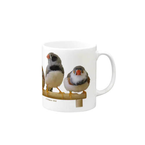 3羽キンカ Mug