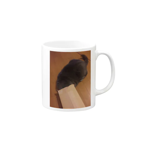 Cats Mug