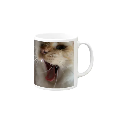 オレレオン Mug