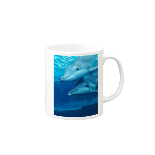 シワハイルカ　イルカ マグカップ