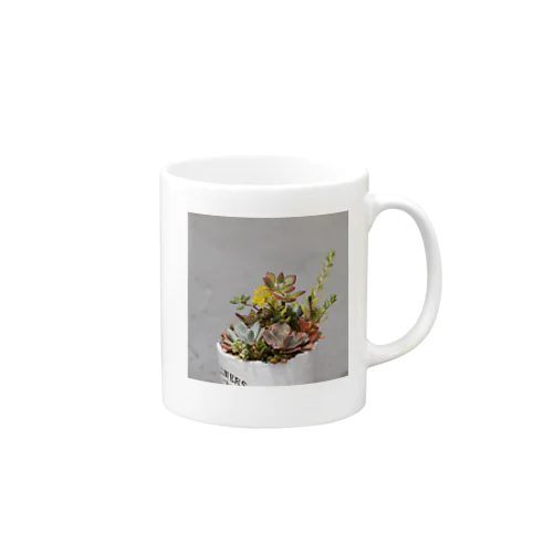 多肉植物　セダムの花 Mug