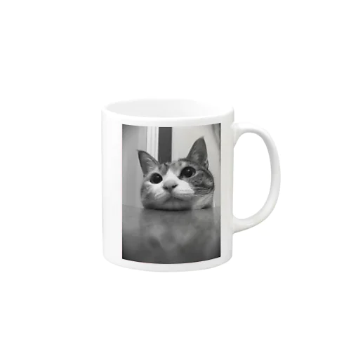 三毛猫のひめ　6 Mug