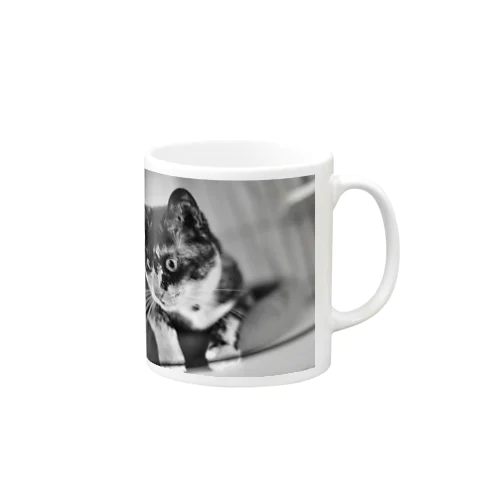 猫 Tシャツ、リンガーTシャツ、トートバッグ、マグカップ Mug