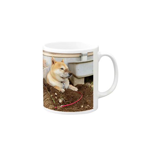 穴掘り犬こむぎさん ３ Mug