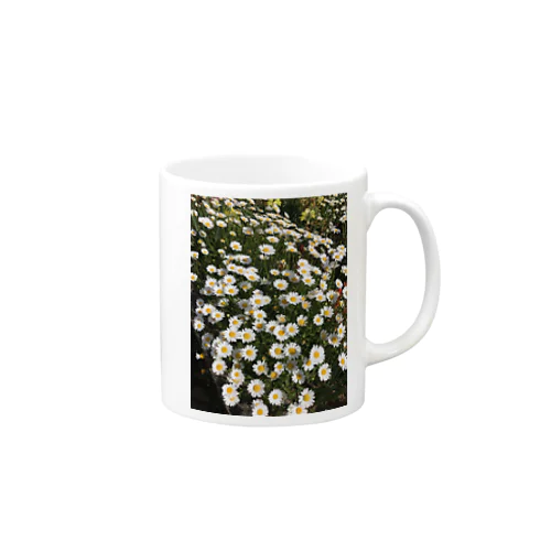 季節のお花シリーズ　オステオスペルマム Mug