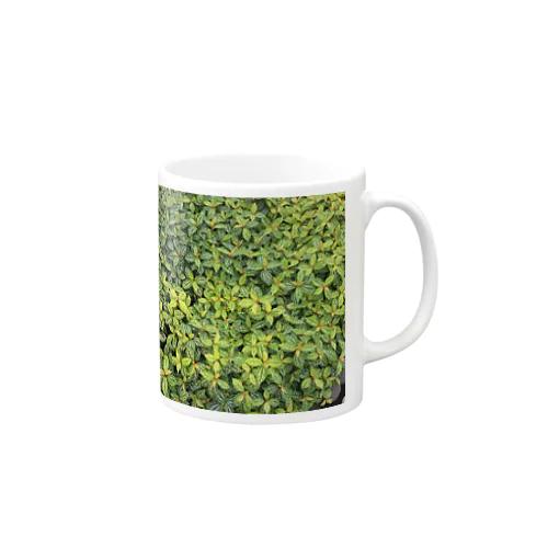 green Mug