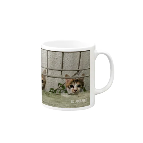 こねこちゃんズ Mug