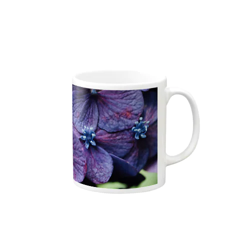 紫陽花　紫 Mug