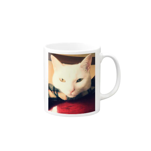 白猫ぎんくん Mug