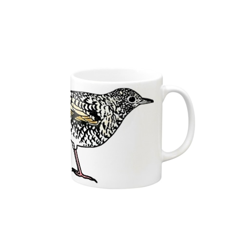 トラツグミのトラさん(カラー) Mug