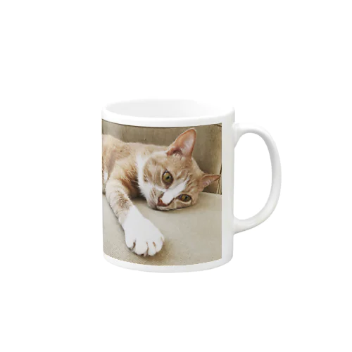 クリーム茶白色の猫 Mug