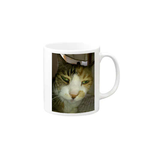 寝ぼけ猫 Mug