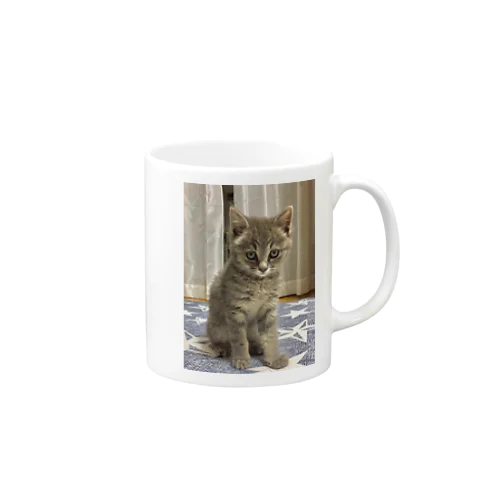 今日から宜しく(=^ェ^=) Mug