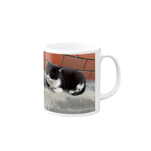 街歩いてたらいたレンガ猫 Mug