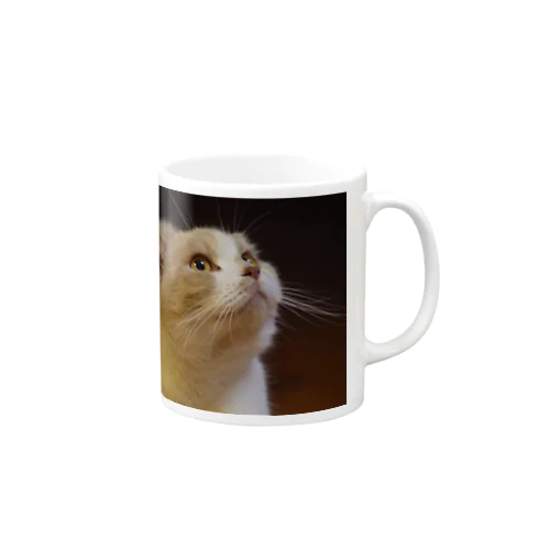 hime Mug