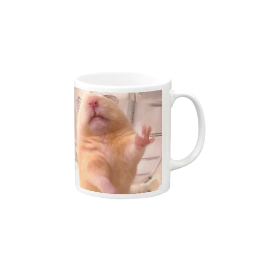 キンクマハムスター　続 おつきみ日誌 Mug