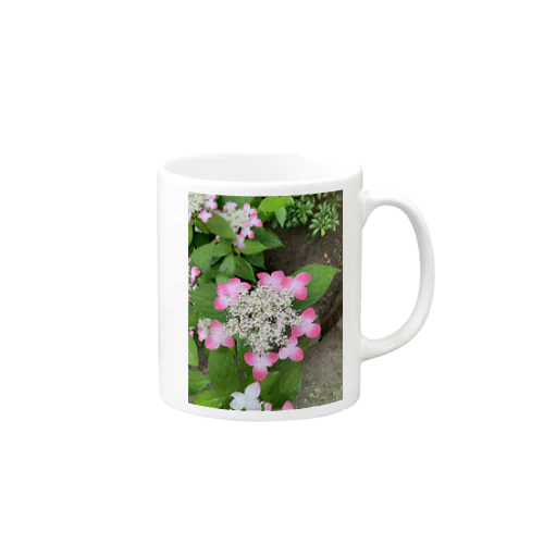 紫陽花　Hydrangea マグカップ