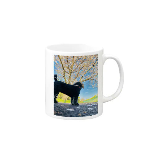 犬　トイプードル Mug