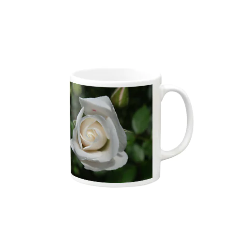 白薔薇 Mug