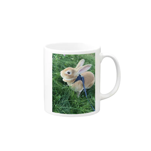うさぎのマロン君 Mug