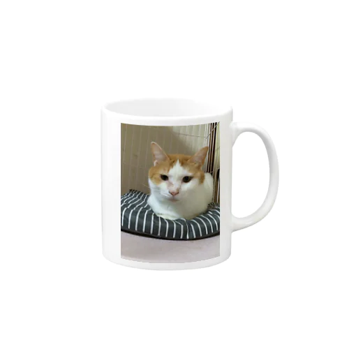 彼多(かなた)グッズ Mug