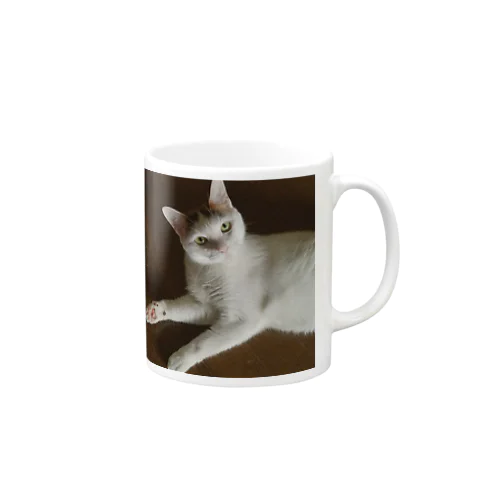 箱入り三毛猫うにさん Mug