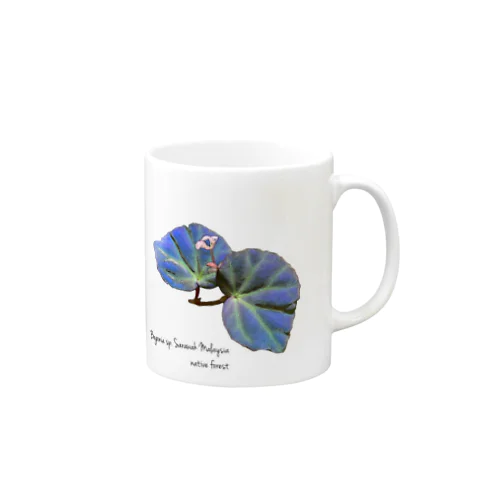 ベゴニアsp.マレーシア サラワク州産（Begonia sp. Sarawak Malaysia） Mug