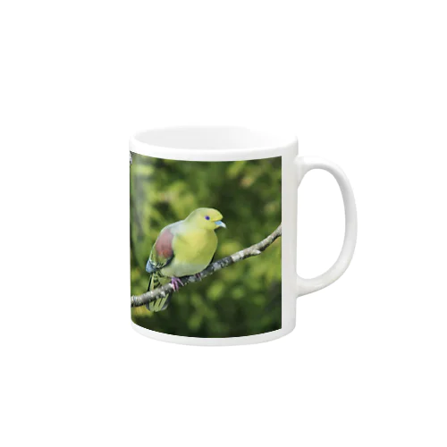 アオバト。野鳥。 Mug