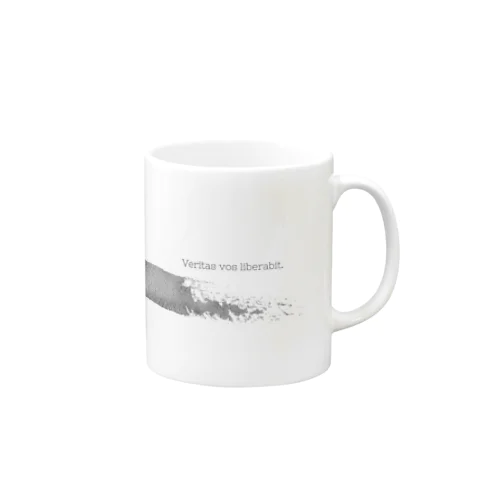 Veritas vos liberabit Mug