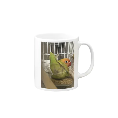 ボタンインコのポルカ Mug